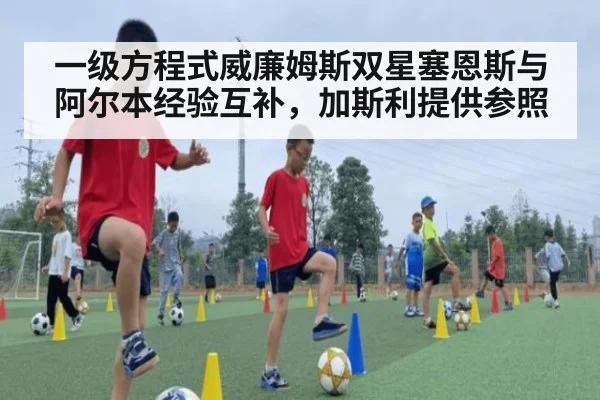 一级方程式威廉姆斯双星塞恩斯与阿尔本经验互补，加斯利提供参照