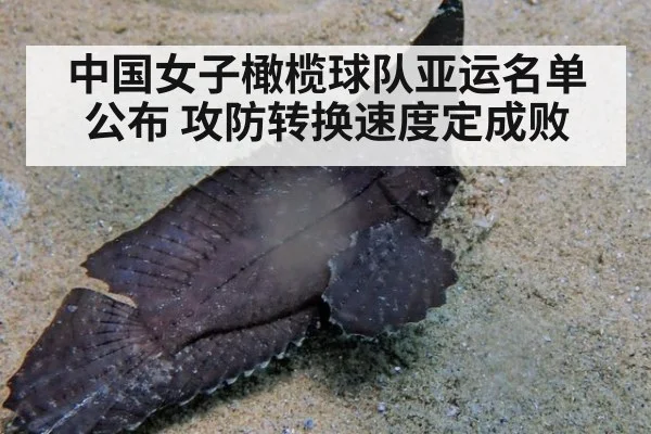 中国女子橄榄球队亚运名单公布 攻防转换速度定成败